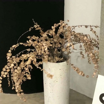 Furry写实风格绘画技巧FurryQQ群